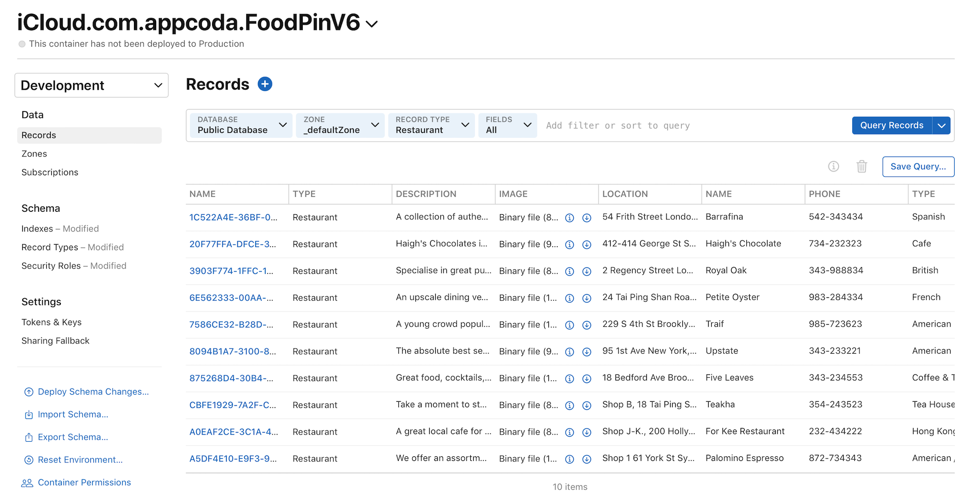 Figure 23-14. Querying records in the public database