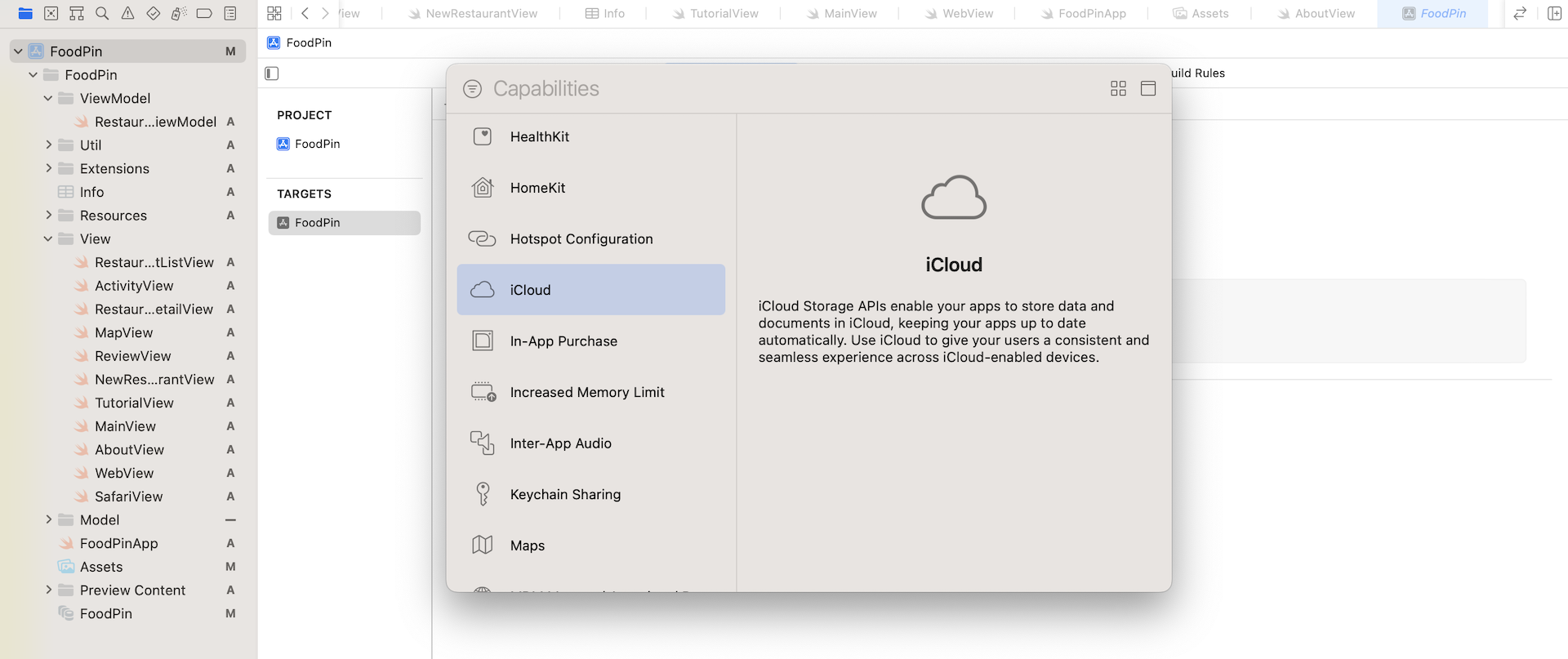Figure 23-5. Adding the iCloud capability