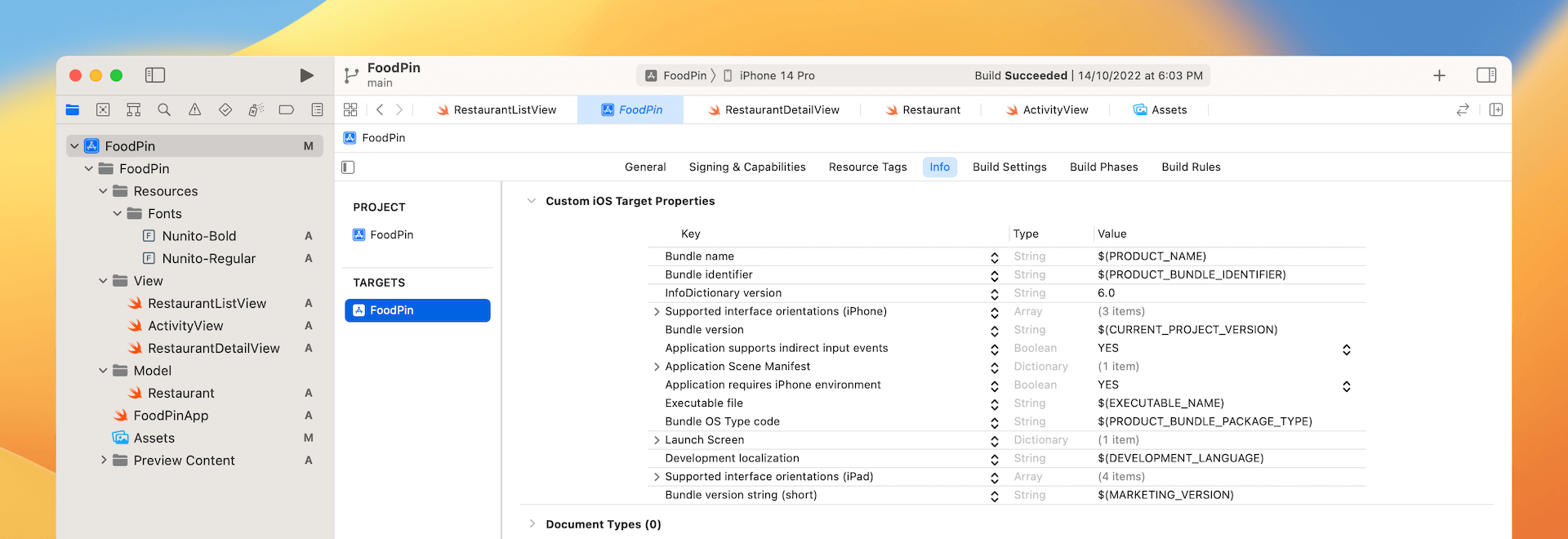 Figure 12-5. Custom iOS Target Properties