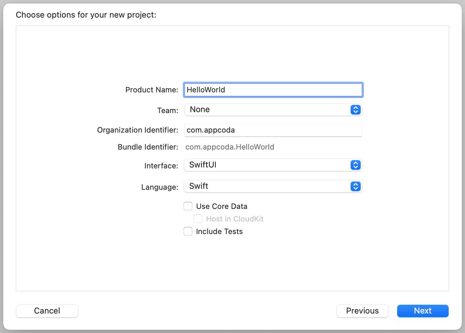Figure 3-4. Fill in the project options